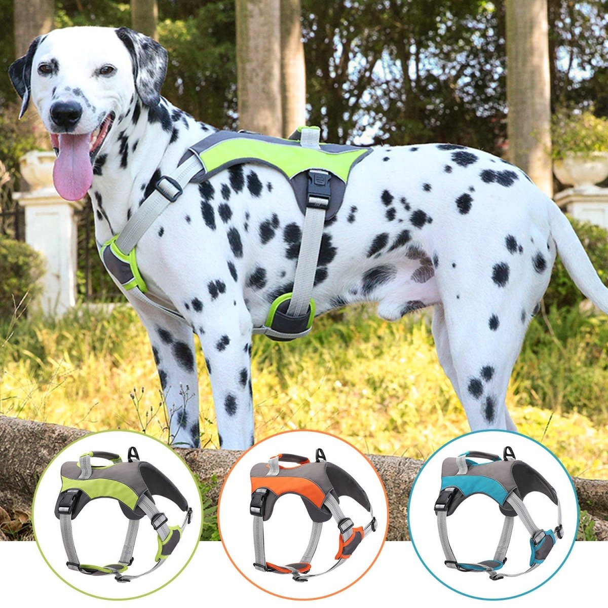 Harnais Réglable et Confortable pour Chiens - CJGY208033101AZ - Harnais - Chienalafolie