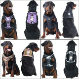 Harnais Tactique Pour Chien Confort Sécurité - CJGX164797402BY - Harnais - Chienalafolie