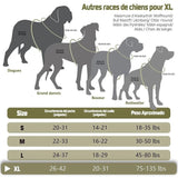 Harnais Tactique Pour Chien Confort Sécurité - CJGX164797402BY - Harnais - Chienalafolie