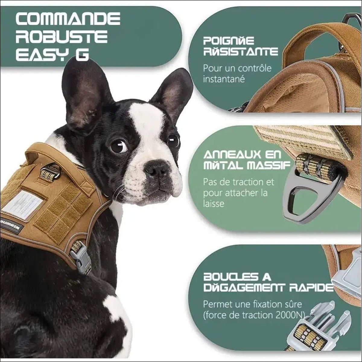 Harnais Tactique Pour Chien Confort Sécurité - CJGX164797402BY - Harnais - Chienalafolie