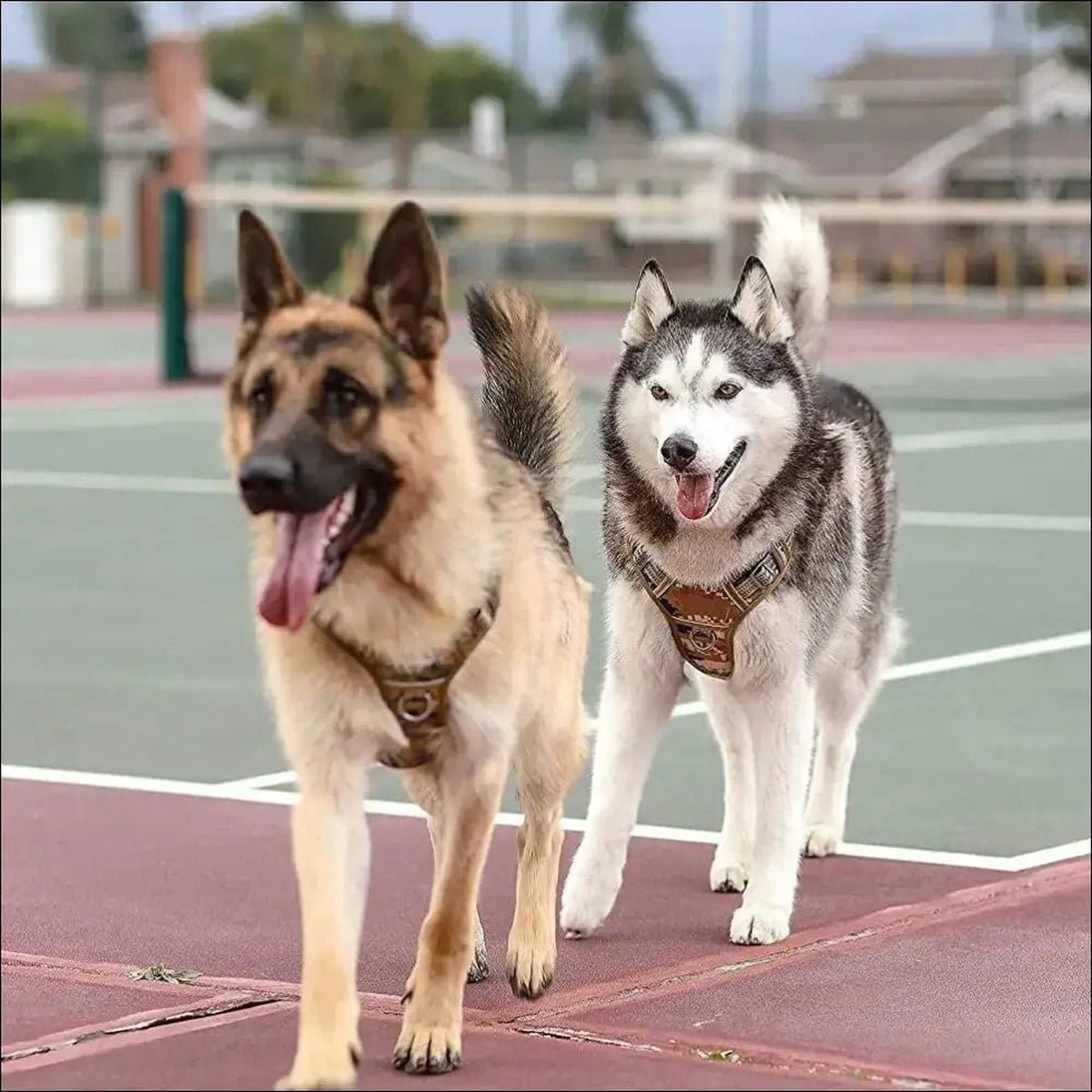 Harnais Tactique Pour Chien Confort Sécurité - CJGX164797402BY - Harnais - Chienalafolie