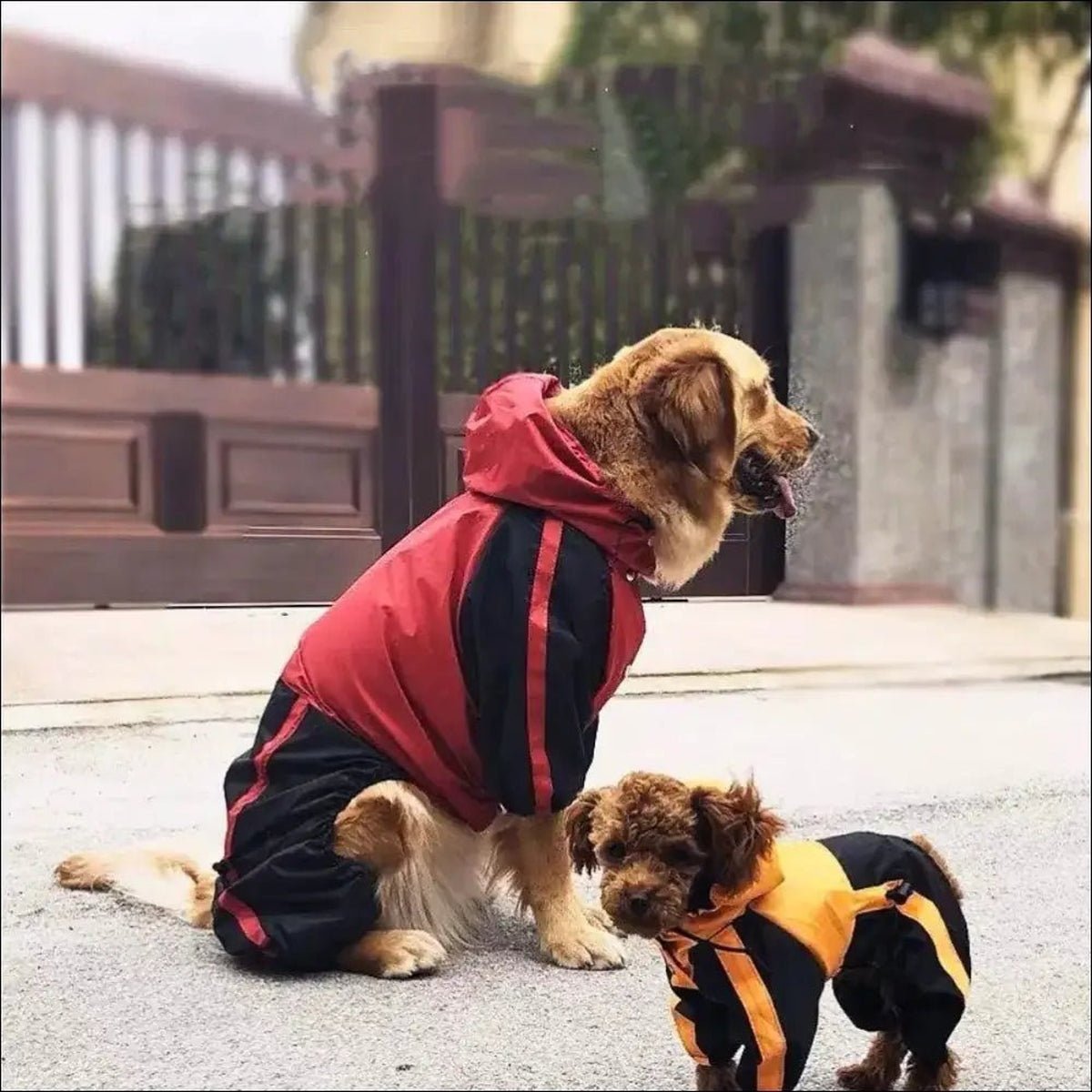 Imperméable Protecteur Pour Chien Tendance - 14:10;5:100014066 - Vêtements - Chienalafolie