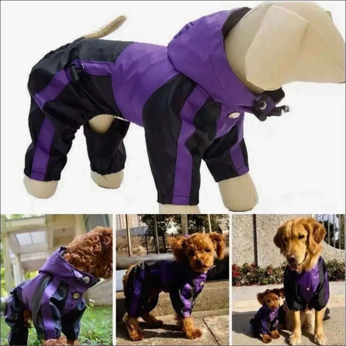 Imperméable Protecteur Pour Chien Tendance - 14:496;5:100014066 - Vêtements - Chienalafolie