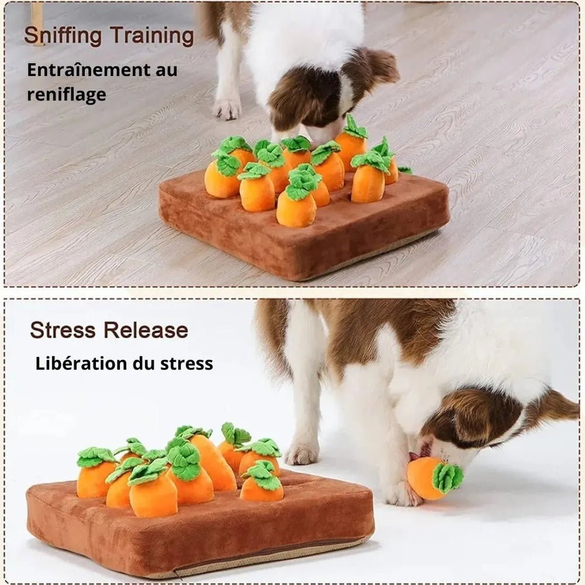 Jouet Carotte en Peluche pour Chiens - CJMY133732201AZ - Tapis de fouille - Chienalafolie