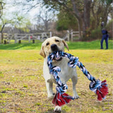 Jouet Corde Noeud Chien Robuste - CJGY116633601AZ - Jouets cordes - Chienalafolie