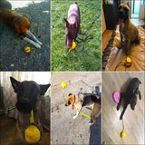 Jouet D'entraînement En Caoutchouc Pour Chiens - CJJJCWGY00762 - Rope ball - 7cm - Balles - Chienalafolie