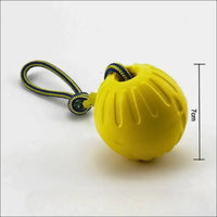 Jouet D'entraînement En Caoutchouc Pour Chiens - CJJJCWGY00762 - Rope ball - 7cm - Balles - Chienalafolie