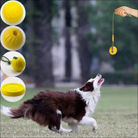 Jouet D'entraînement En Caoutchouc Pour Chiens - CJJJCWGY00762 - Rope ball - 7cm - Balles - Chienalafolie
