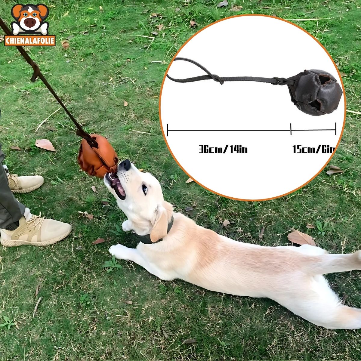 Jouet en Cuir pour Chien - CJCT219231001AZ - Balles - Chienalafolie