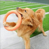 Jouet Indestructible Floatringer Pour Chien - CJJJCWGY01977 - Green - S - Frisbee - Chienalafolie