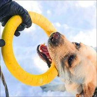 Jouet Indestructible Floatringer Pour Chien - CJJJCWGY01977 - Green - S - Frisbee - Chienalafolie