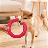 Jouet Indestructible Floatringer Pour Chien - CJJJCWGY01977 - Green - S - Frisbee - Chienalafolie
