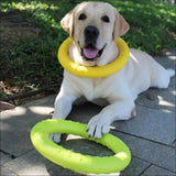 Jouet Indestructible Floatringer Pour Chien - CJJJCWGY01977 - Green - S - Frisbee - Chienalafolie