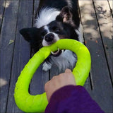 Jouet Indestructible Floatringer Pour Chien - CJJJCWGY01977 - Green - S - Frisbee - Chienalafolie