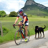 Laisse de Vélo Mains Libres pour Chiens - CJJJCWGX00034 - Rose gold - Laisses - Chienalafolie