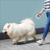 Laisse Led Rétractable Ufo 2 Pour Chiens - CJJJCWGX00235 - White - Laisses - Chienalafolie