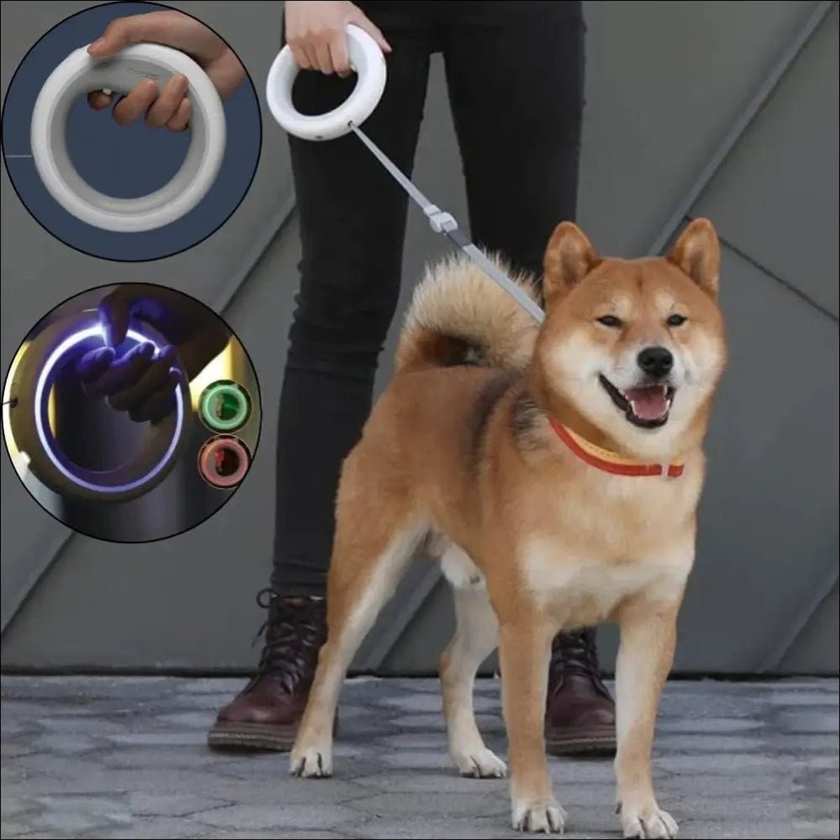 Laisse Led Rétractable Ufo 2 Pour Chiens - CJJJCWGX00235 - White - Laisses - Chienalafolie