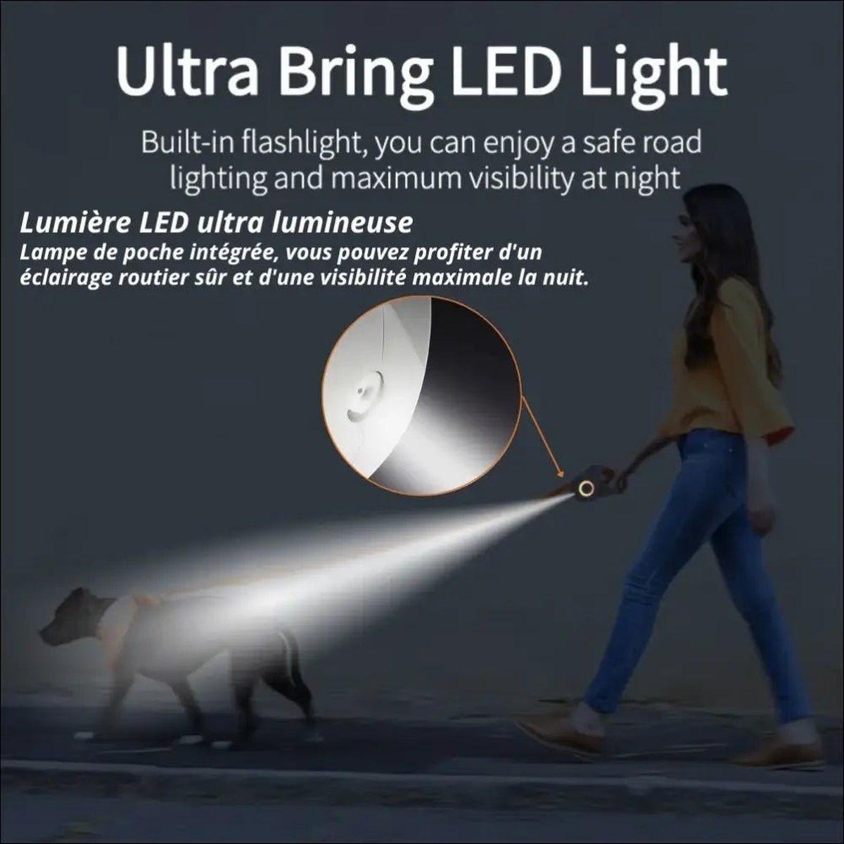 Laisse Lumineuse Rétractable Pour Chiens - CJGX122193001AZ - Laisses - Chienalafolie