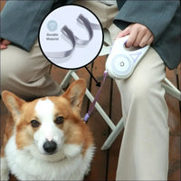 Laisse Lumineuse Rétractable Pour Chiens - CJGX122193001AZ - Laisses - Chienalafolie