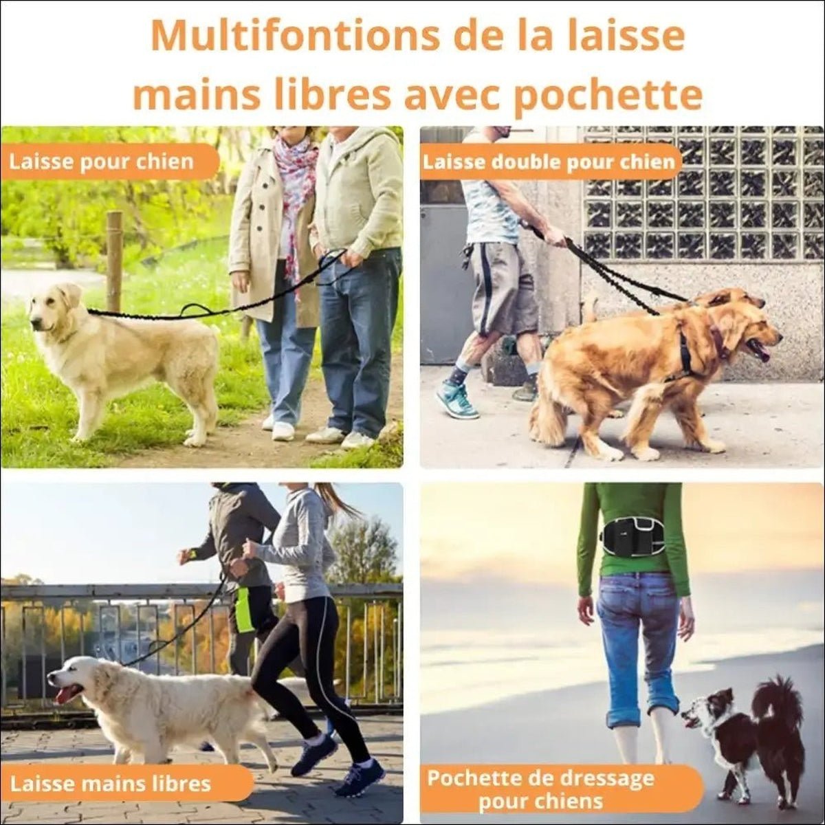 Laisse Multifonction Withdog2 Pour Chiens - CJGY112387105EV - Laisses - Chienalafolie