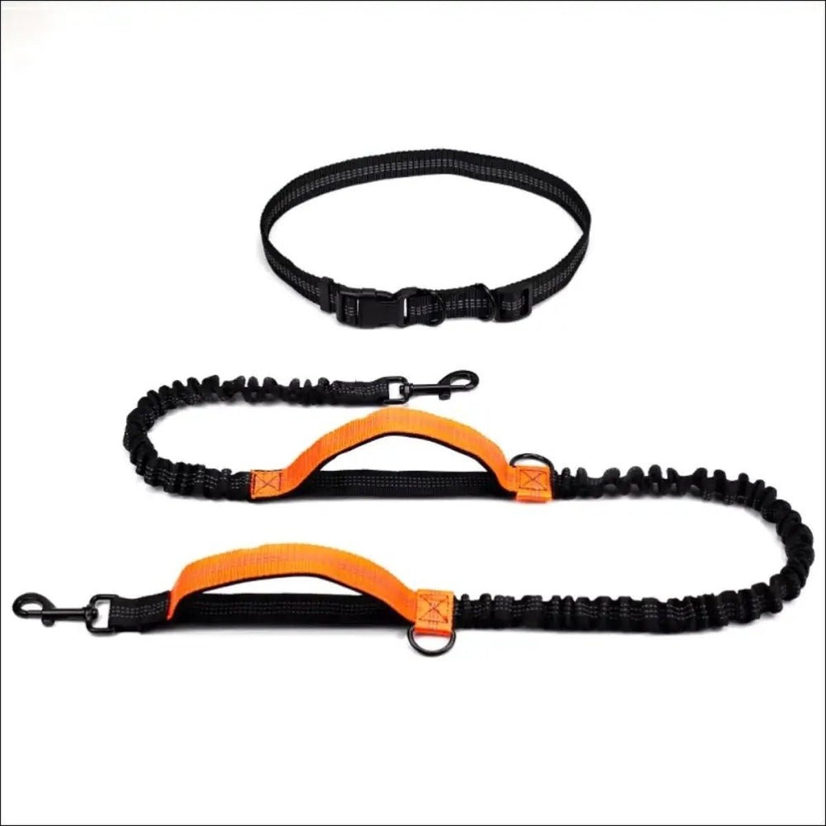 Laisse Multifonctionnelle Withdog Pour Chien - CJGY171808408HS - Laisses - Chienalafolie