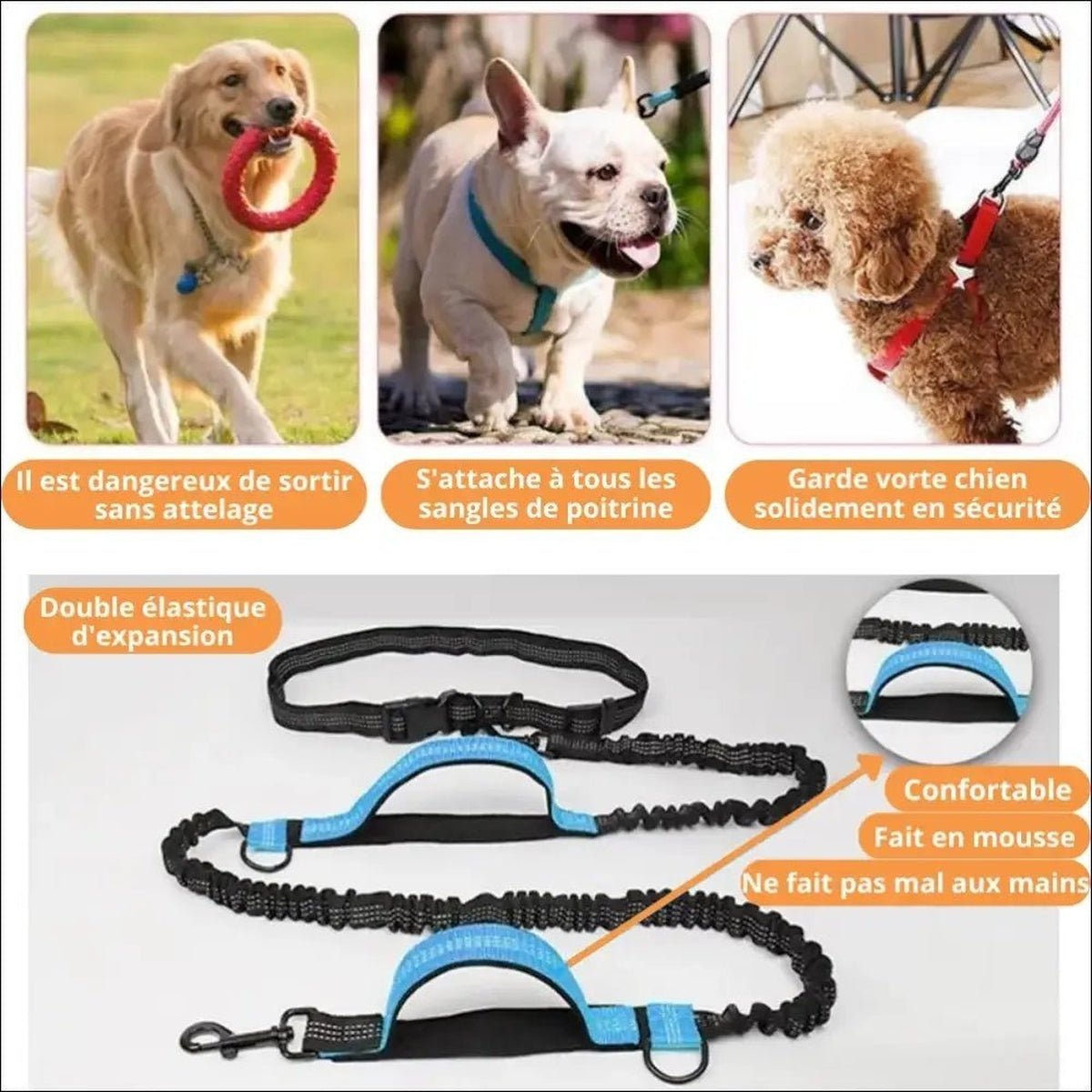 Laisse Multifonctionnelle Withdog Pour Chien - CJGY171808409IR - Laisses - Chienalafolie