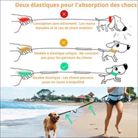Laisse Multifonctionnelle Withdog Pour Chien - CJGY171808409IR - Laisses - Chienalafolie