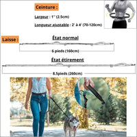 Laisse Multifonctionnelle Withdog Pour Chien - CJGY171808409IR - Laisses - Chienalafolie