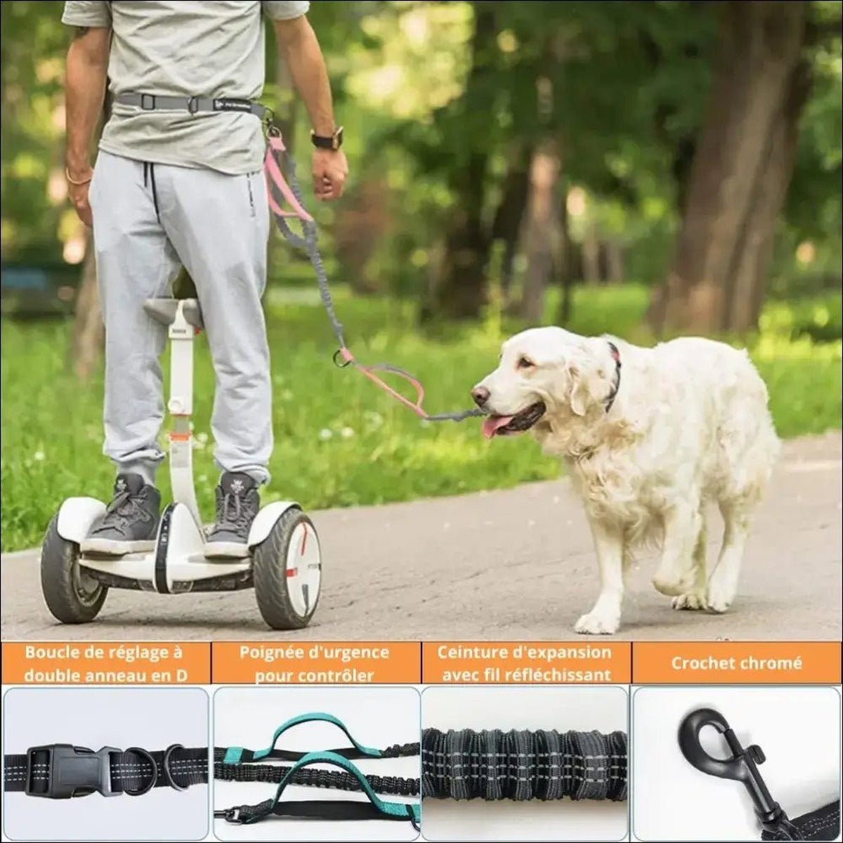 Laisse Multifonctionnelle Withdog Pour Chien - CJGY171808409IR - Laisses - Chienalafolie
