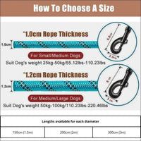 Laisse Robuste En Nylon Pour Chiens - CJGX149410602BY - Laisses - Chienalafolie