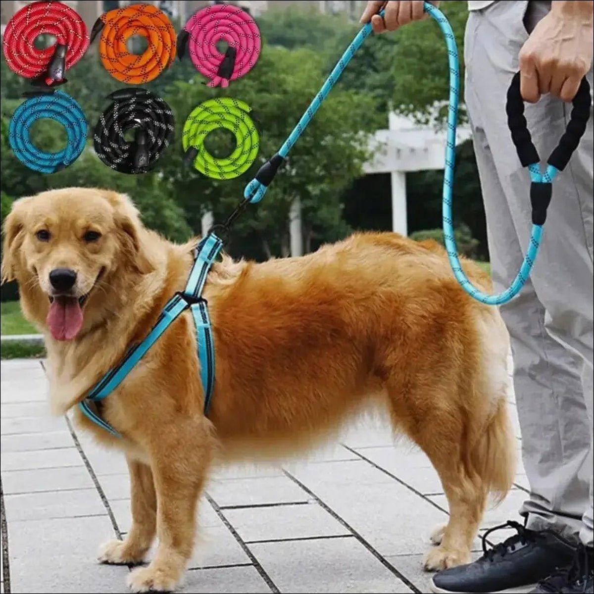 Laisse Robuste En Nylon Pour Chiens - CJGX149410602BY - Laisses - Chienalafolie