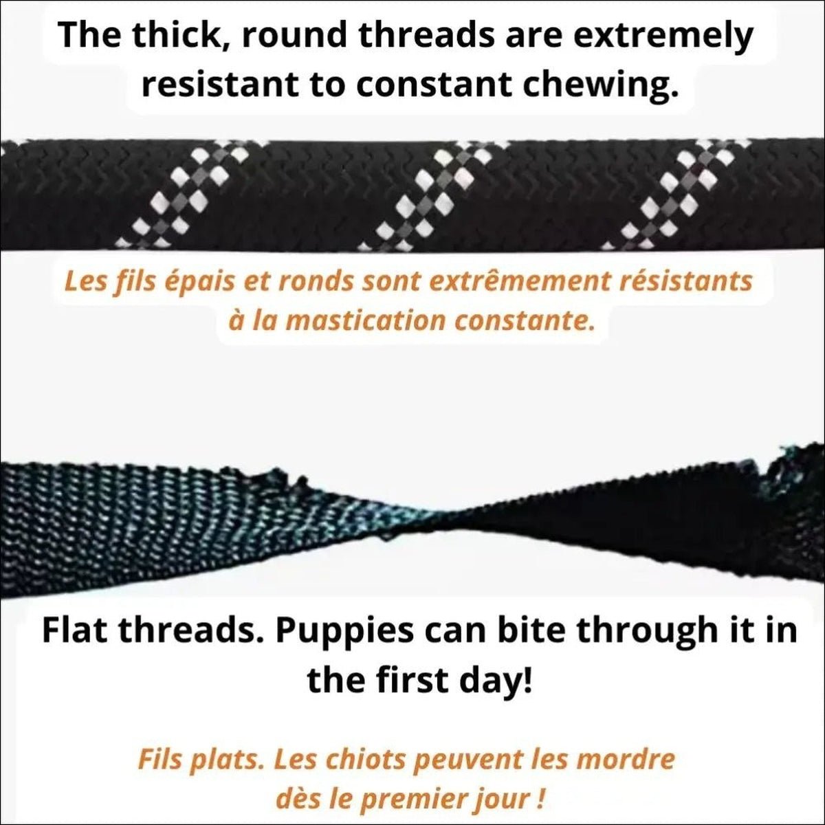 Laisse Robuste En Nylon Pour Chiens - CJGX149410602BY - Laisses - Chienalafolie