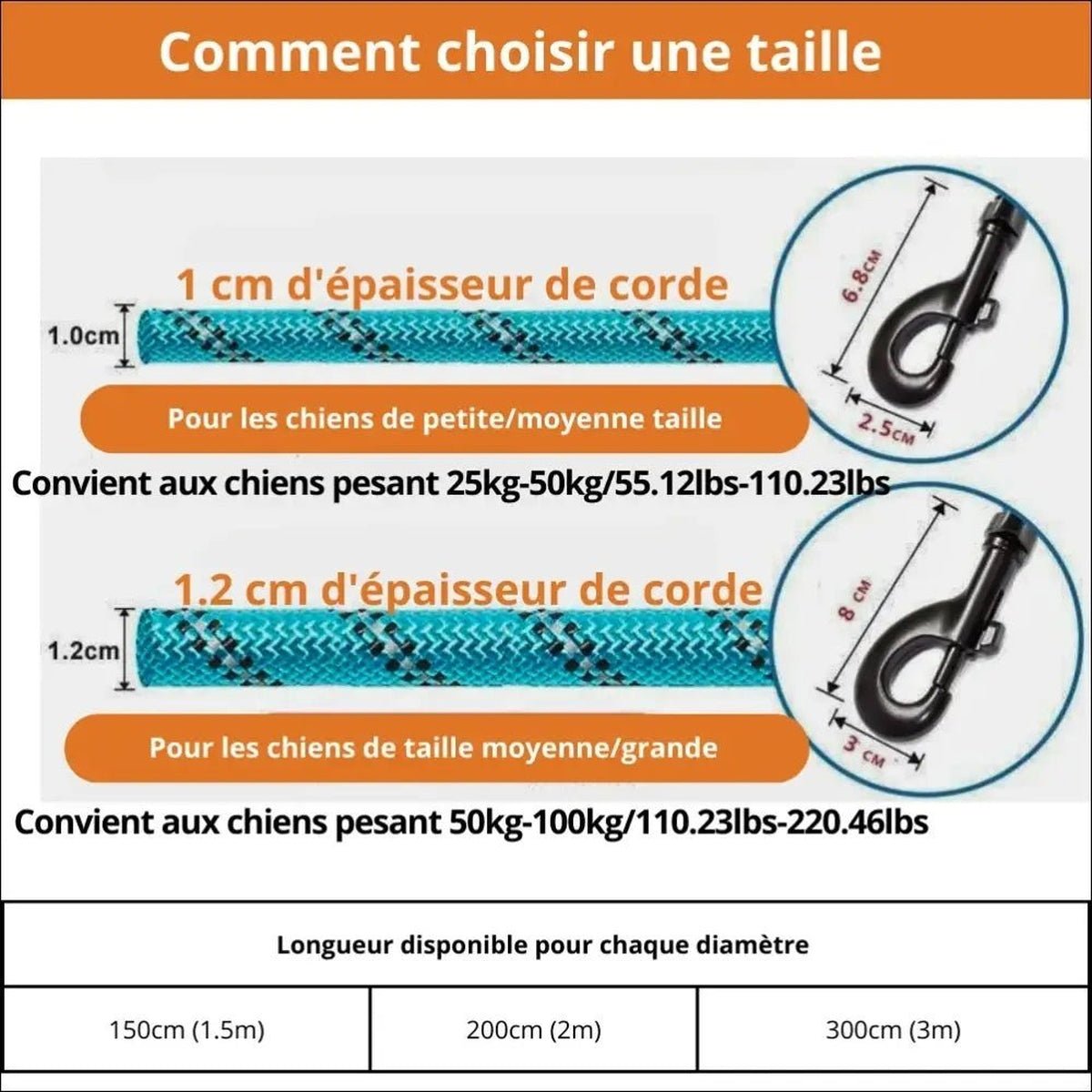 Laisse Robuste En Nylon Pour Chiens - CJGX149410602BY - Laisses - Chienalafolie