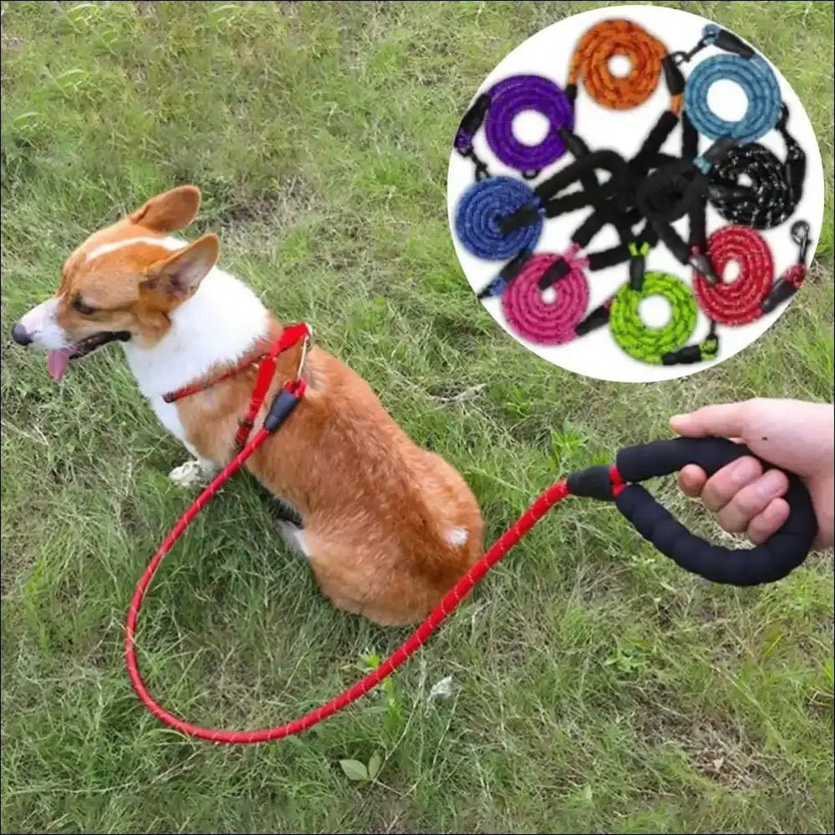 Laisse Robuste En Nylon Pour Chiens - CJGX149410602BY - Laisses - Chienalafolie