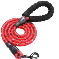 Laisse Robuste En Nylon Pour Chiens - CJGX149410629CX - Laisses - Chienalafolie