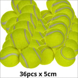 Lanceur De Balles Ballpitcher Pour Chiens - CJJJCWGY00346 - Diameter 5cm 36pcs - Lances balles automatiques - Chienalafolie
