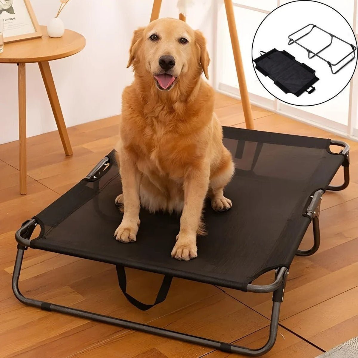 Lit de Chien Pliable et Respirant - 14:1063#Mat Only;5:100014064#71x59x16cm - Lits - Chienalafolie