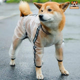Manteau de Pluie Imperméable pour Chien - CJGD205944701AZ - Manteaux - Chienalafolie
