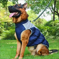 Manteau D'hiver Pour Grands Chiens - CJGD187442107GT - Vêtements - Chienalafolie