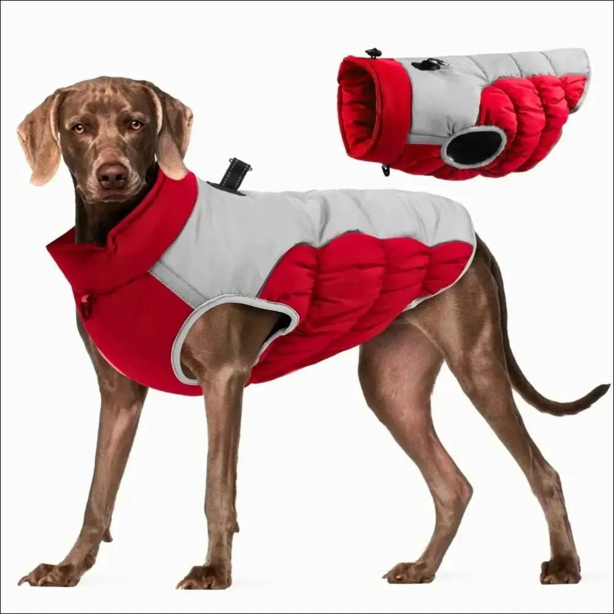 Manteau D'hiver Pour Grands Chiens - CJGD187442113MN - Vêtements - Chienalafolie