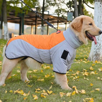 Manteau Hiver Imperméable pour Grands Chiens - CJGD184014001AZ - Vêtements - Chienalafolie