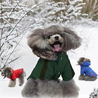 Manteau Hiver Zip pour Petits Chiens - CJGD187441016PK - Vêtements - Chienalafolie