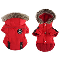 Manteau Hiver Zip pour Petits Chiens - CJGD187441021UF - Vêtements - Chienalafolie