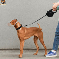 Muselière Chien Respirante Réglable Anti-Morsure - CJYD192516701AZ - Muselières - Chienalafolie