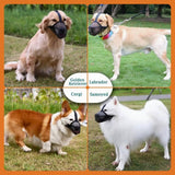 Muselière Chien Respirante Réglable Anti-Morsure - CJYD192516701AZ - Muselières - Chienalafolie