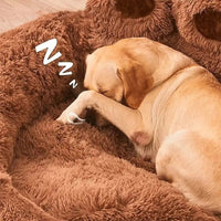 Panier Douillet Patte pour Chiens Confort - CJYD164643410JQ - Paniers - Chienalafolie