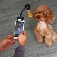 Perche à Selfie pour Animaux - CJYD199127801AZ - Perche à Selfie - Chienalafolie