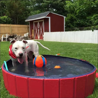Piscine Pliable Poolfolds Pour Chiens - CJJT150803709IR - Piscines - Chienalafolie