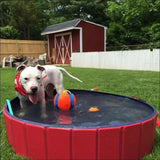 Piscine Pliable Poolfolds Pour Chiens - CJJT150803709IR - Piscines - Chienalafolie