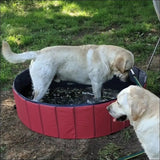 Piscine Pliable Poolfolds Pour Chiens - CJJT150803709IR - Piscines - Chienalafolie